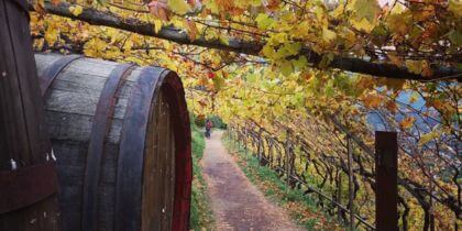 Algunder Waalweg in der Nähe des Restaurant Leiter am Waal im Herbst