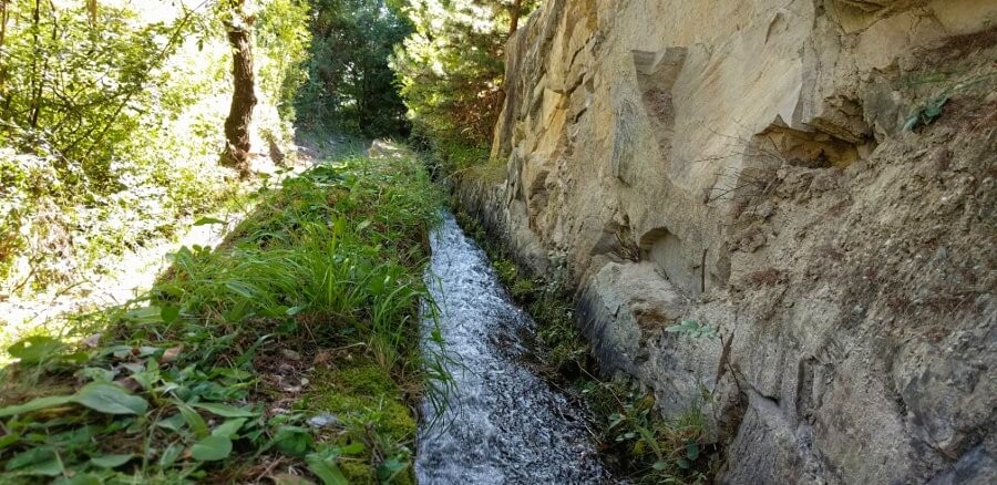 Waal neben dem Wanderweg