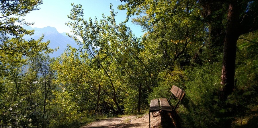 Sitzgelegenheit im Schatten