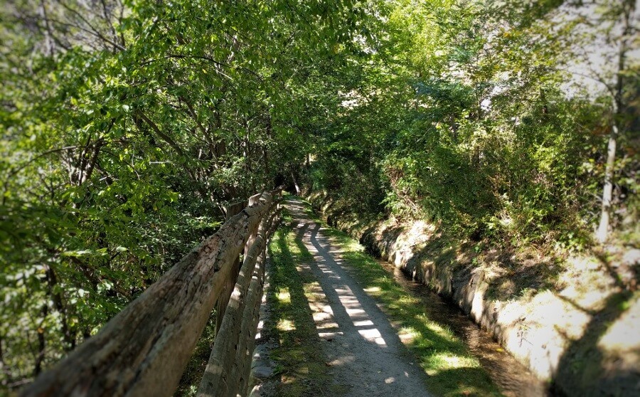 Von der Steppe in den Schatten am Zaalwaal