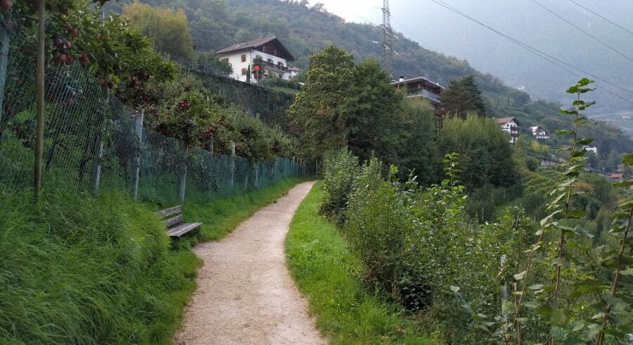 Weg durch die Apfelwiesen