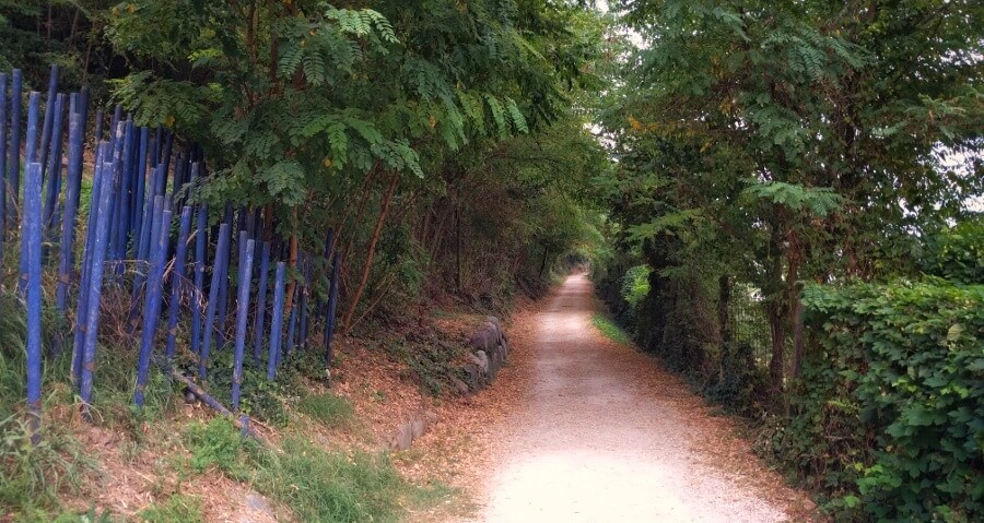 Skulpturen am Rand des Waalwegs