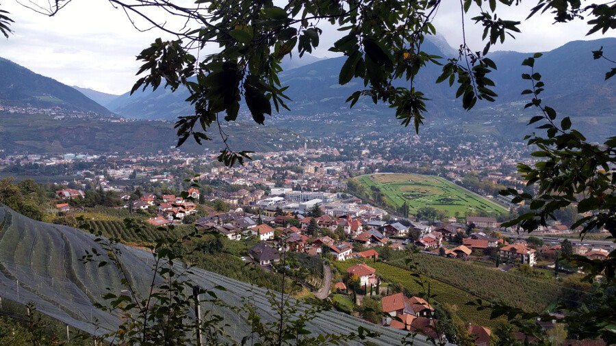 Blick auf den Pferderennplatz von Meran
