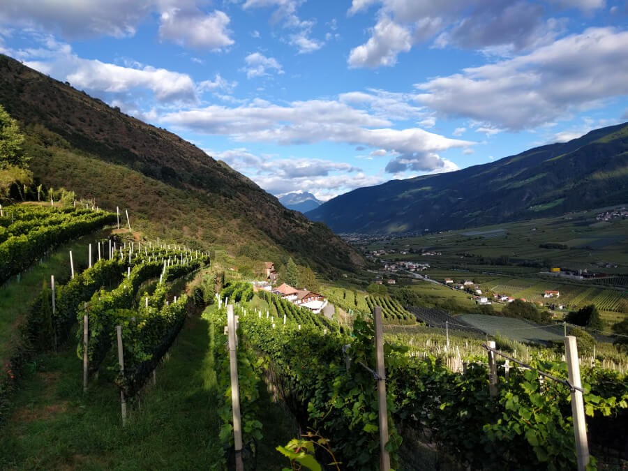 Aufstieg zum Waalweg mit Blick in Richtung Meran, im Hintergrund Staben und Naturns